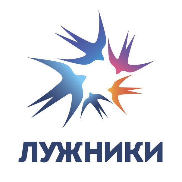 Стадион Лужники Стадион Лужники